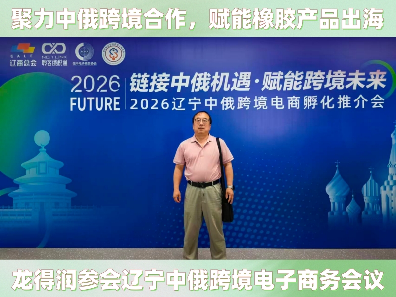 聚力中俄跨境合作，赋能橡胶产品出海｜龙得润参会辽宁中俄跨境电子商务会议