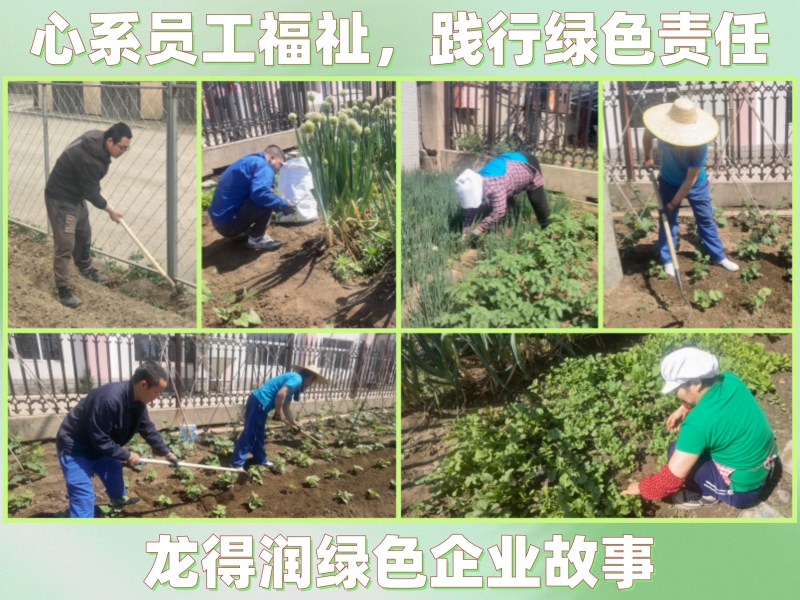 心系员工福祉，践行绿色责任｜龙得润绿色企业故事